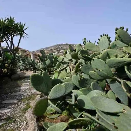 Вилла Paraga Scorpios Area 2 